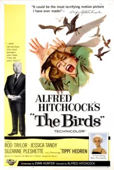 Kuşlar (1963) izle