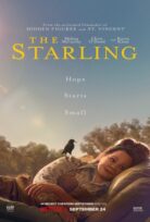 The Starling izle