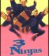 Üç Küçük Ninja (1992) izle