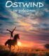 Ostwind – Der große Orkan izle