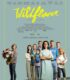 Wildflower izle