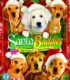 Santa Buddies izle