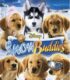 Snow Buddies izle