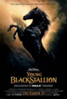 Young Black Stallion izle