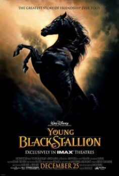 Young Black Stallion izle